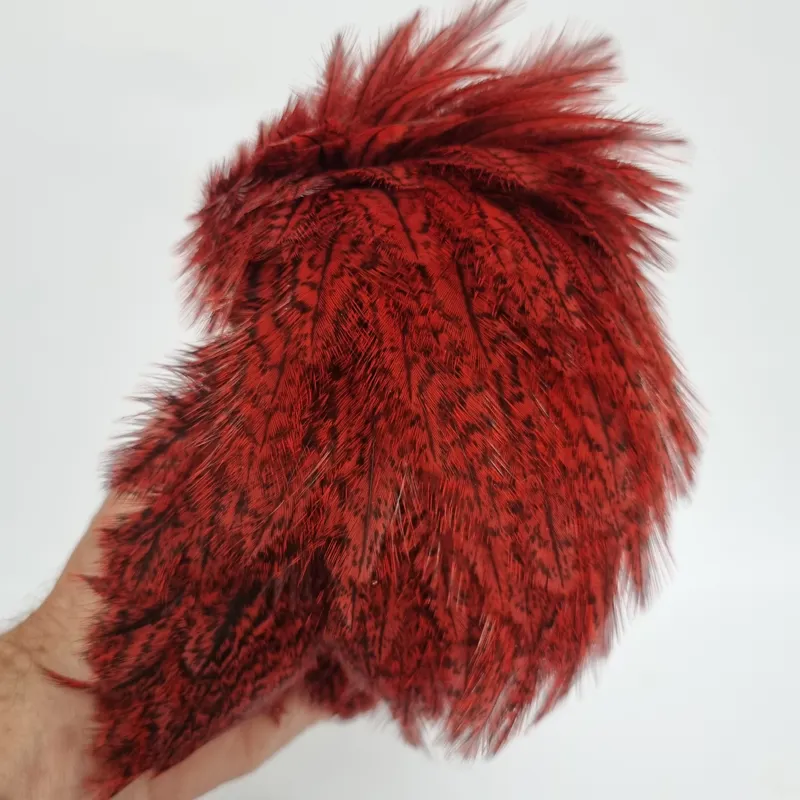 Whiting Coq de Leon Hen Cape in Speckled Red-7